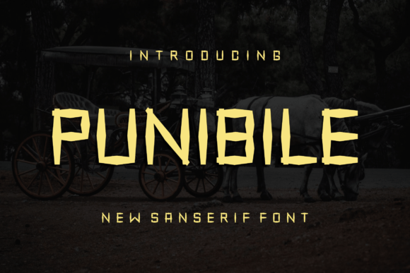 Punibile Display Font for Modern Branding and Campaigns